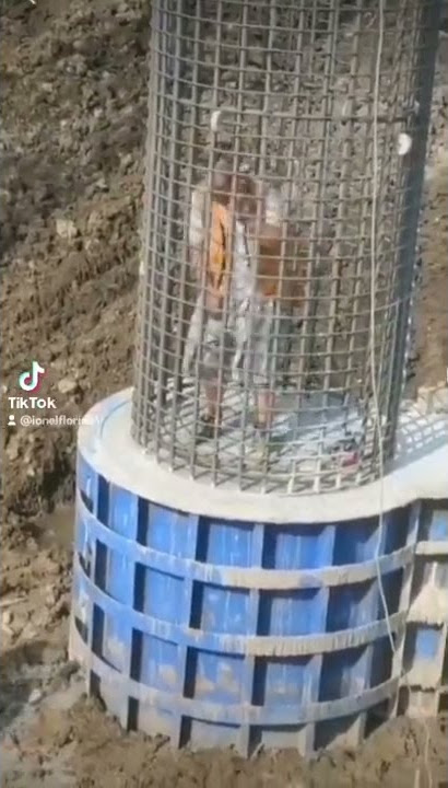 Hello boss , i have a problem 😂😂 Help me 😂 #shorts #funny #funnyvideo #boss #problem #cringe #fyp