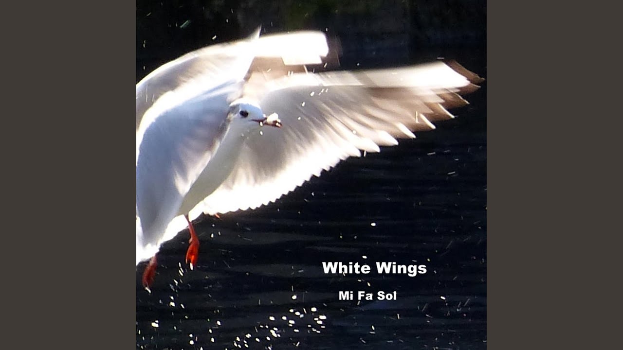 Watch White Wings on YouTube Watch White Wings on YouTube