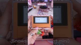 Snowsky Echo (not mini) update tutorial ♡