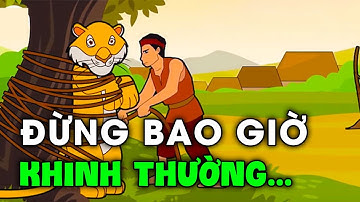 Minh chứng so sánh trí thông minh của động vật với con người| Khoa học Trái đất | Trái Đất có gì? |