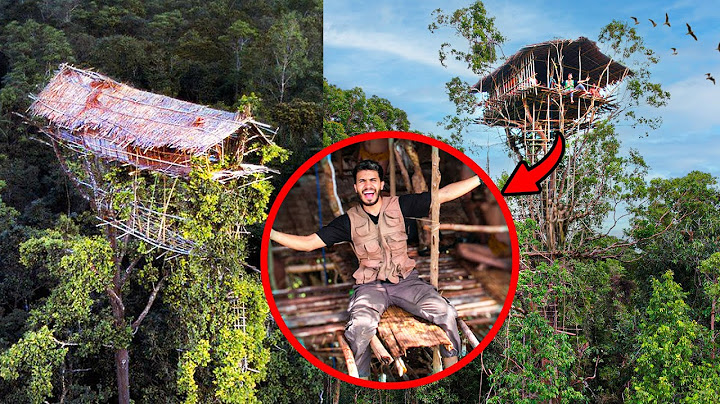 THE CANNIBAL TRIBE THAT LIVES IN THE TREES OF PAPUA | The Korowai (4/6)
