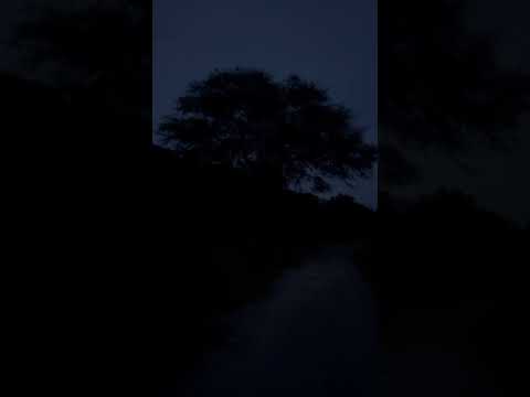 Terror en el Cerro