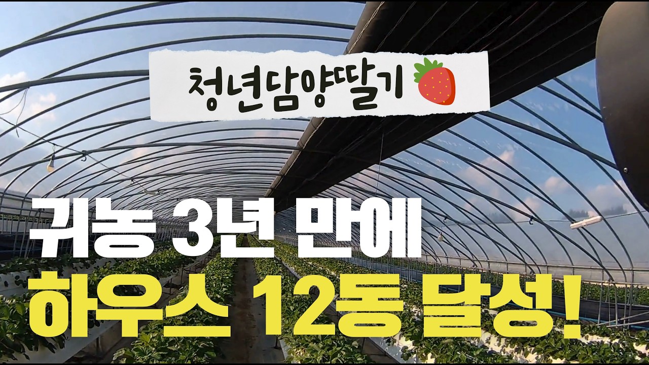 [전남 청년담양딸기 1부 ] 귀농 3년 만에 하우스 12동? 귀농 성공 신화의 주인공이 밝히는 씨플랜트티의 위력!