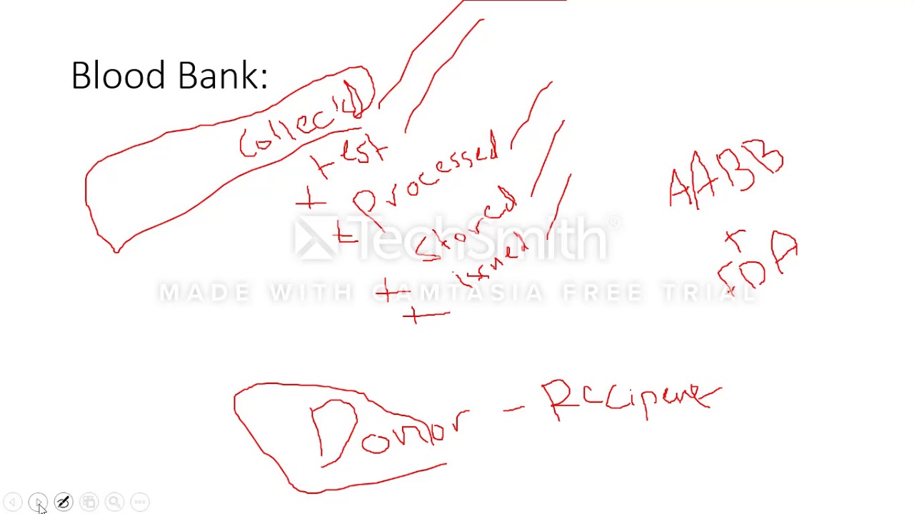 Lab01-introduction to blood bank