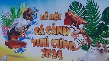 Lễ hội cá cảnh thú cưng 2024