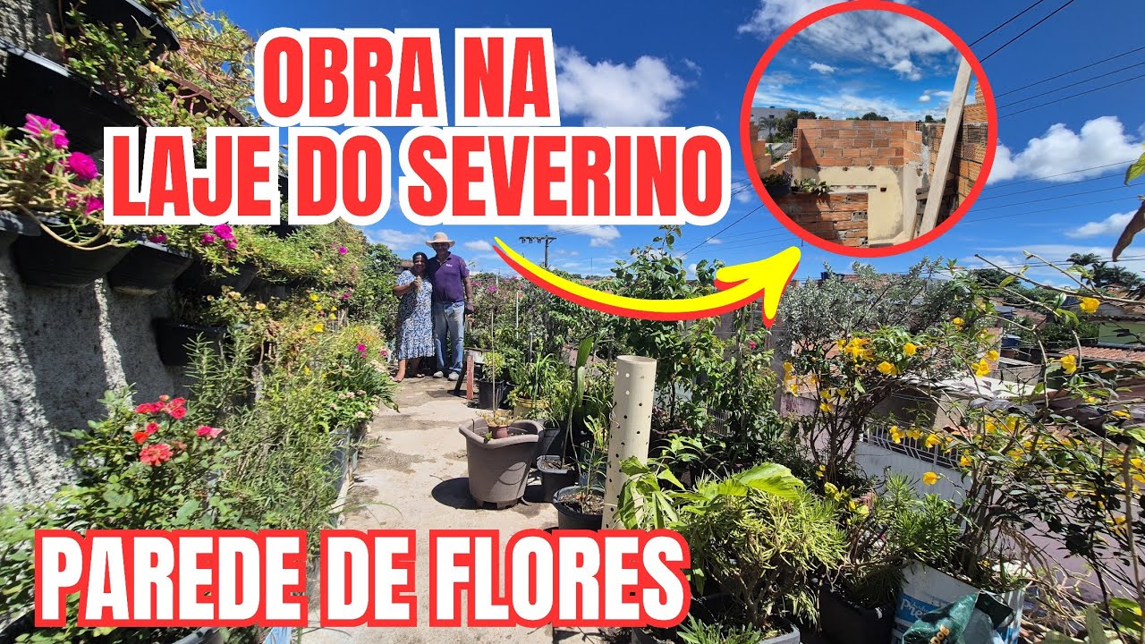 REFORMA DA LAJE: TIVE QUE ME DESFAZER DE ALGUMAS PLANTAS | VEJA COMO ESTÁ A OBRA E AS FLORES | DICAS