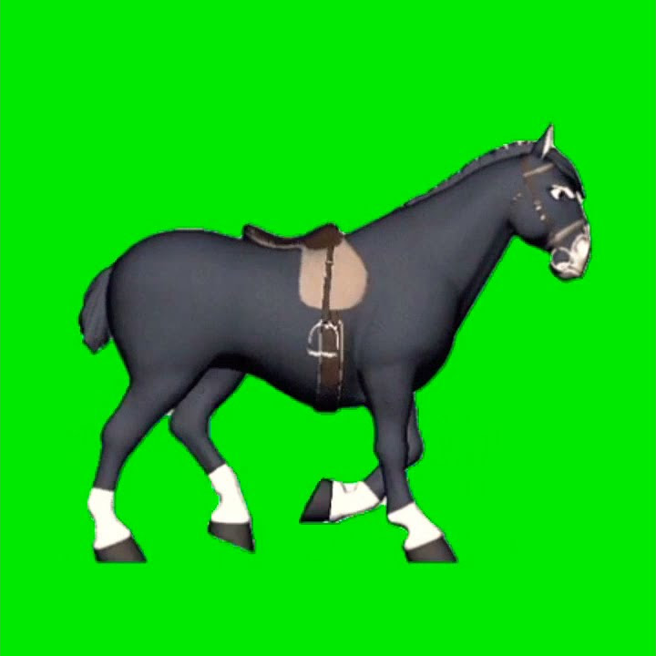 Mentahan Green Screen Kuda berjalan 🐎#kuda #hewan #hewanpeliharaan #animal #horse