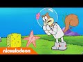 Spongebob | Nickelodeon Arabia | سبونج بوب | قمر نبتون