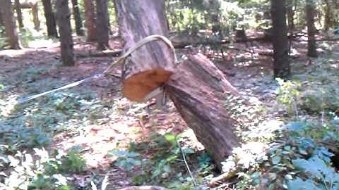 How to unpinch chainsaw bar using comealong winch