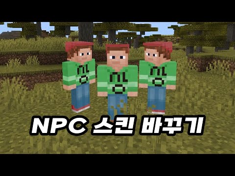 NPC 스킨 제작하고 적용하기