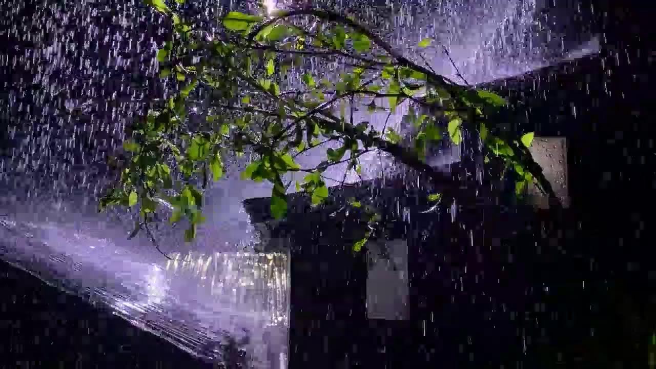 Heavy Rainstorm on Tin Roof – Sleep Better Tonight
