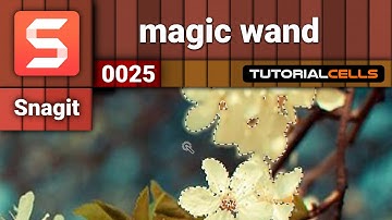 0025. magic wand tool in snagit