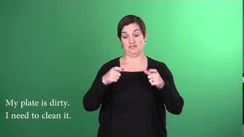 Sign Language - Level 1: Classifier Predicates Showing Size and Shape