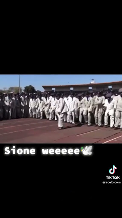 ST Engenas Zcc khakhi