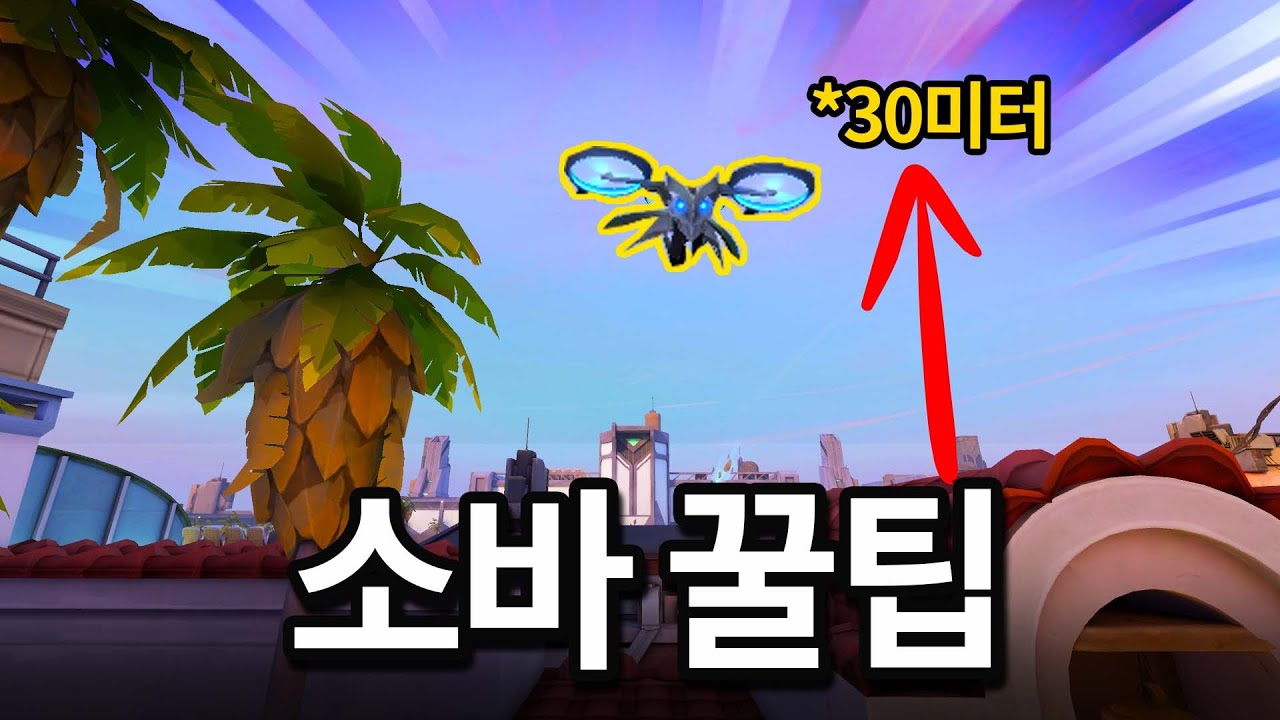 소바 드론을 이렇게 높게 날릴 수 있다고???