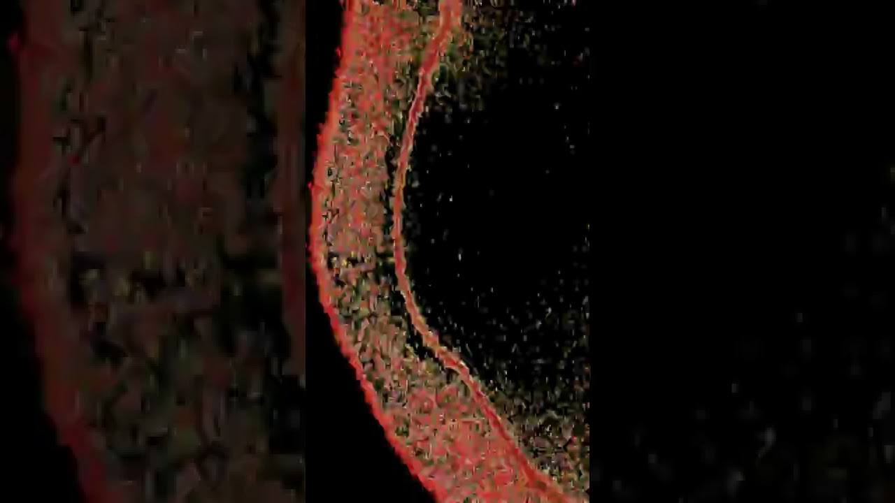 @AQUA MANE @dahsum  @sevendahsplit  @k4stet 