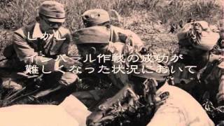 レンヤ ムタグチ アンサイクロペディア レンヤ ムタグチ アンサイクロペディア