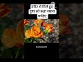 मंदिर से मिले पुष्प को कहां रखना चाहिए #youtubeshorts#bageshwar #durgapuja#tranding#shorts#viiral#yt