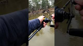 Big blow up on the paddler! #murraycod #topwater #fishing