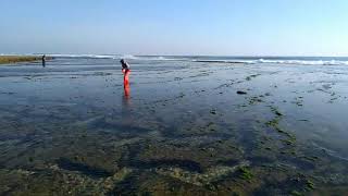 Melasty Beach Song By Saprol Denm