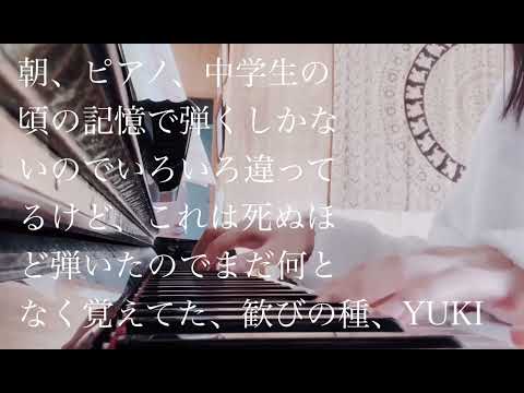 歓びの種 YUKI (弾き語りcover)