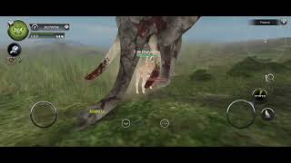 Wild Animals Online New Update Insects