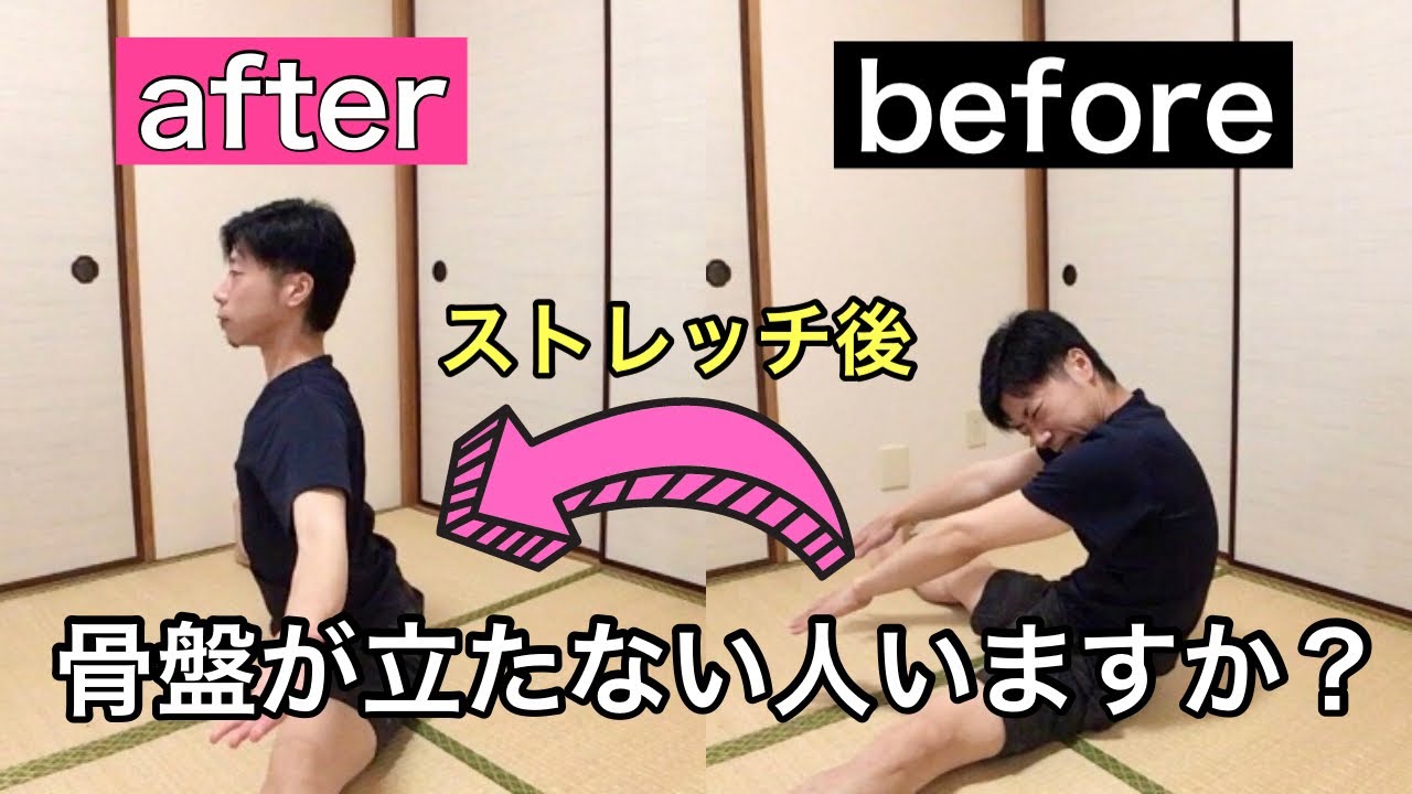 【骨盤が立たない】たった2種類！前屈＆開脚で骨盤が立つようになるストレッチ＆トレーニング【太もも裏 硬い】