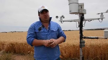 Using soil moisture probes to make better farming decisions