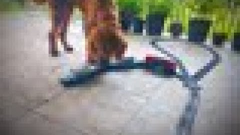 Lego Train House ride Inside and out part 4