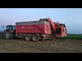 Repná Kampaň 2019 | Holmer Terra Dos T3 | New Holland | Massey Ferguson |