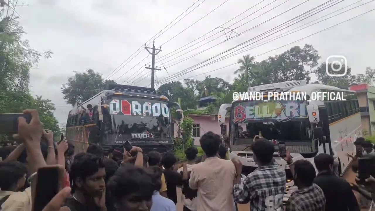 BELLARL Dorado Turbo thukki ☠️☠️