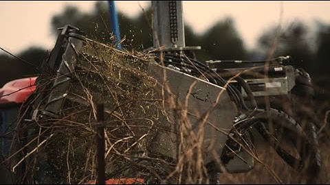 Klima Cane Pruning System - Pellenc America