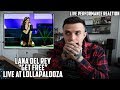 Lana Del Rey - Get Free Live At Lollapalooza REACTION