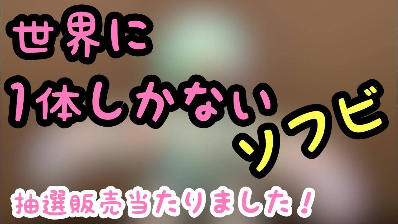 ソフビ】世界に1体しかないソフビの抽選に当たりました！デザイナーは 