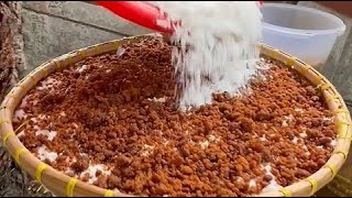 SATU PORSI SEGEDE GINI DIJUAL CUMA 150 RIBU !! BISA UNTUK MAKAN SEKAMPUNG !!