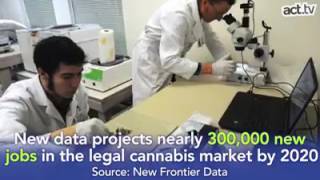 Marijuana industry in the US