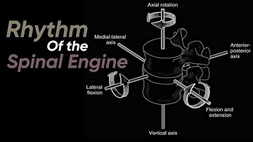 Rhythm of the Spinal Engine