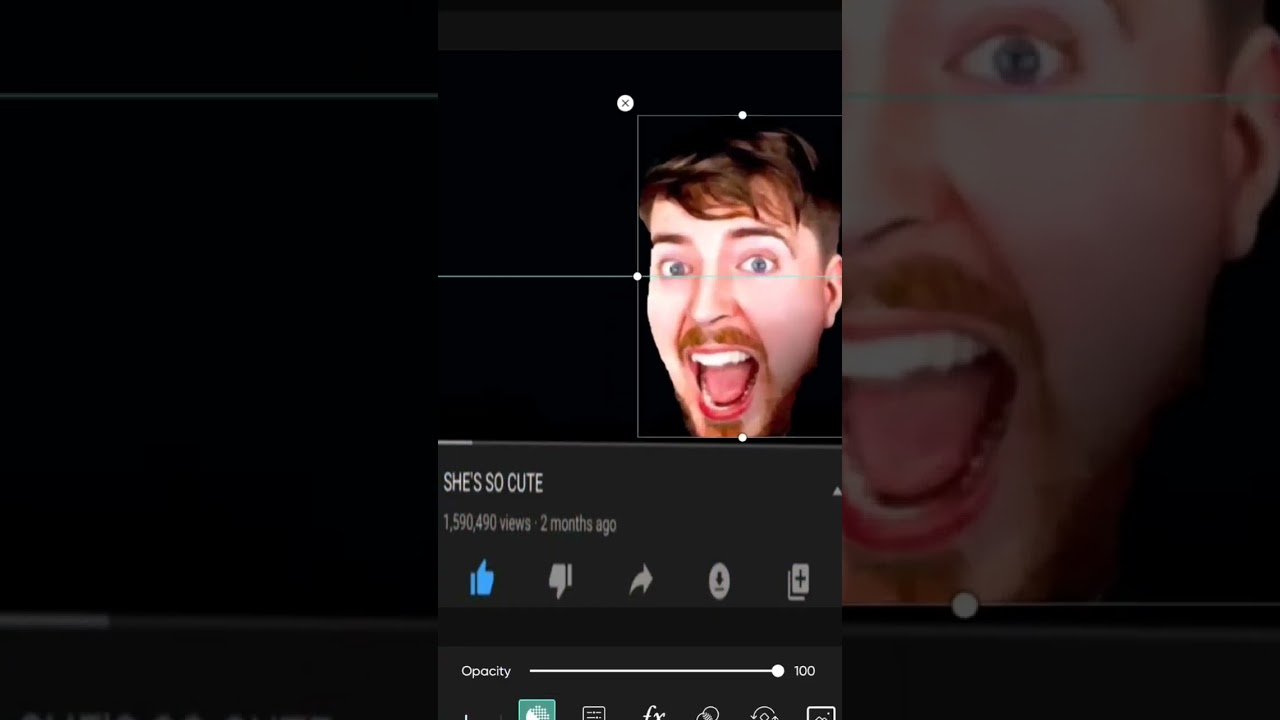 why mr beast 😭😭 