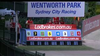 WENTWORTH PARK-25112017-RACE-5