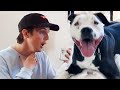 surprising my dog after 7 months apart!!!!!!! :) *emotional*