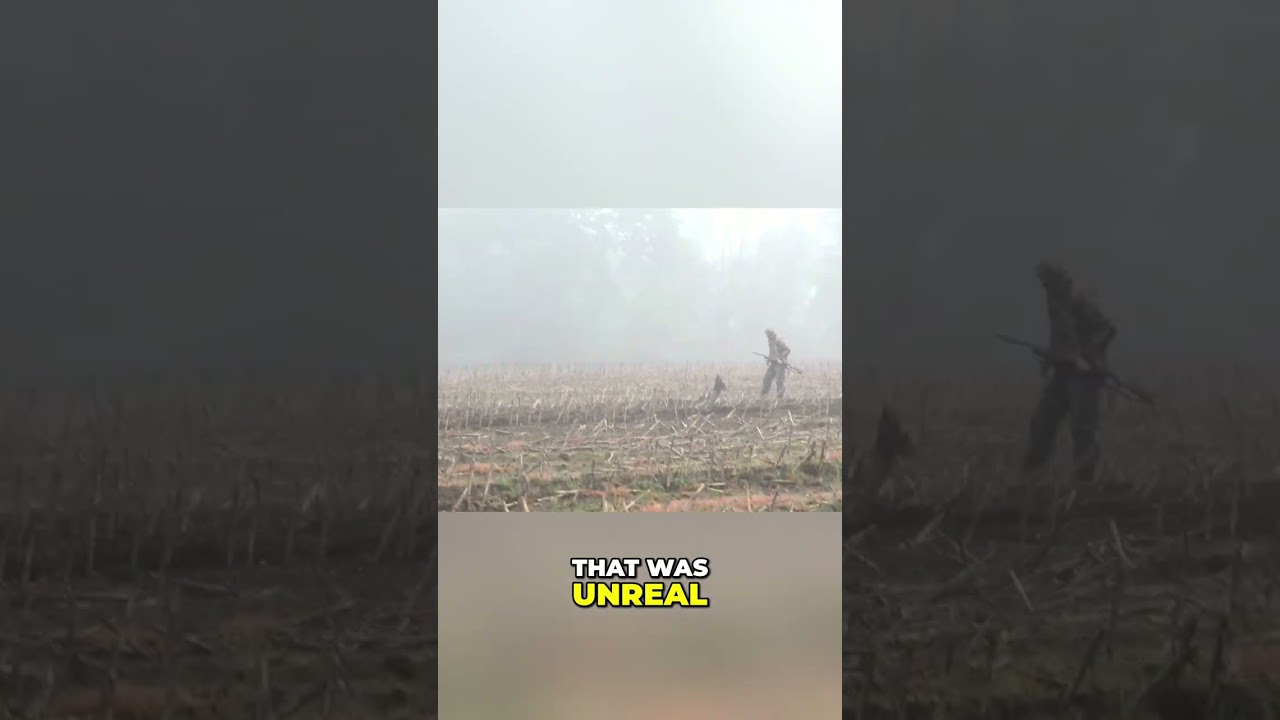 Unreal Turkey Hunt: Epic Misty Field Stalk!