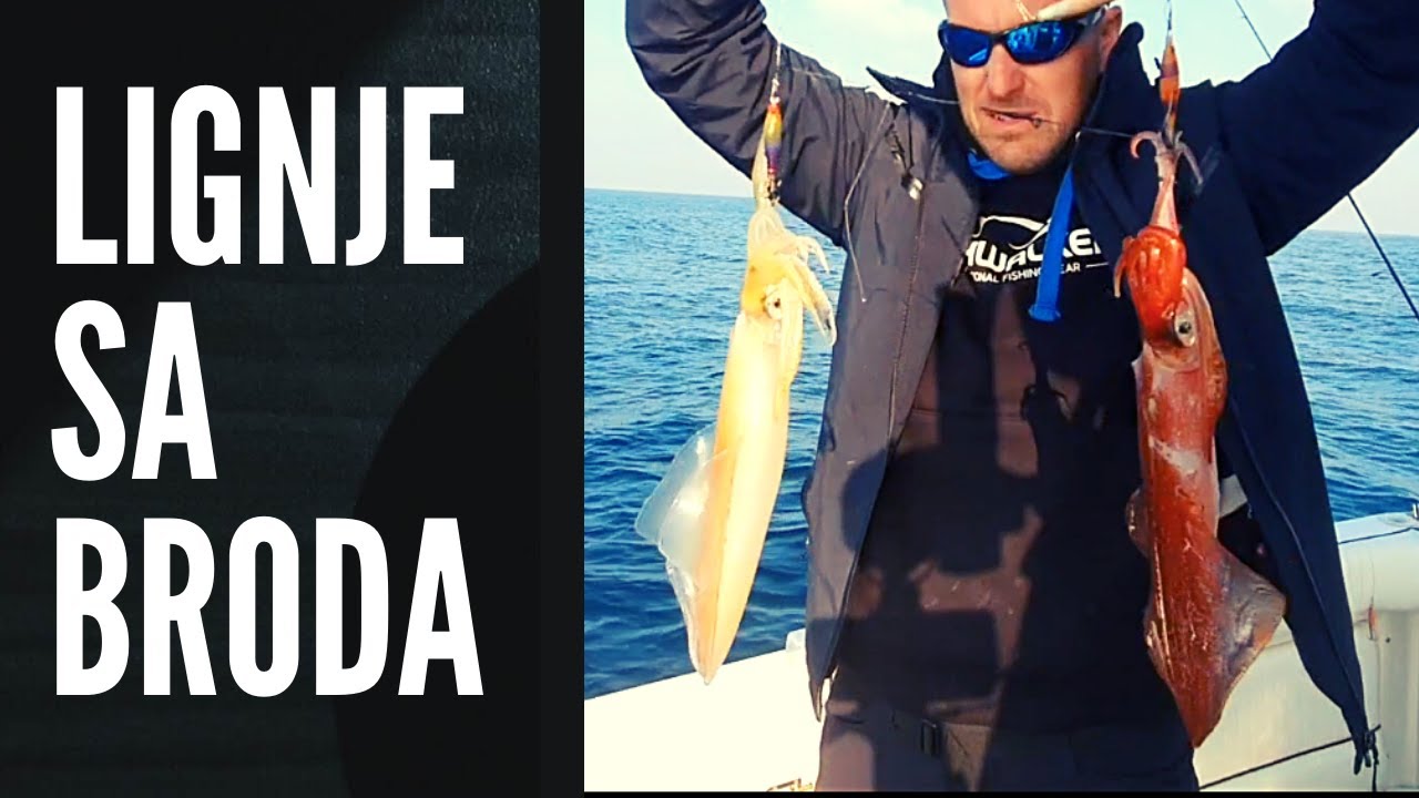 KAKO: LOVITI LIGNJE SA BRODA