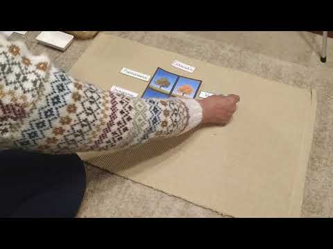 2.5  Cultural - Diferentes líneas de tiempo