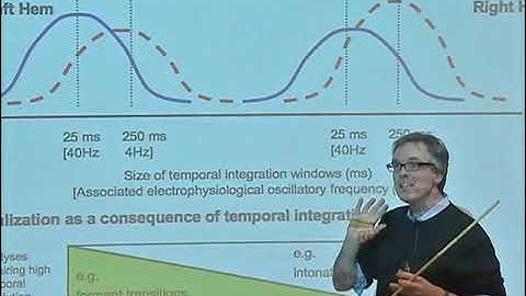 Temporal primitives in auditory cognition and speech perception – David Poeppel (UMD) - 2008