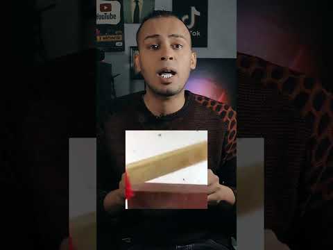 اخطر الأشجار ممنوع تقرب منها تماما 