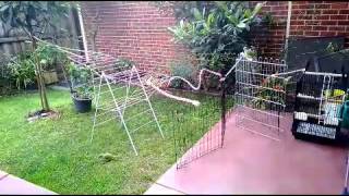 WP 20130917 002 1