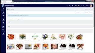 AllProWebTools 4.0 - Gallery Tutorial