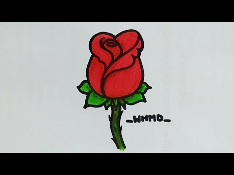 วาดรูปดอกกุหลาบ How to draw a rose 🌹