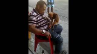 Cachorro Beijando Homem Bêbado Dormindo