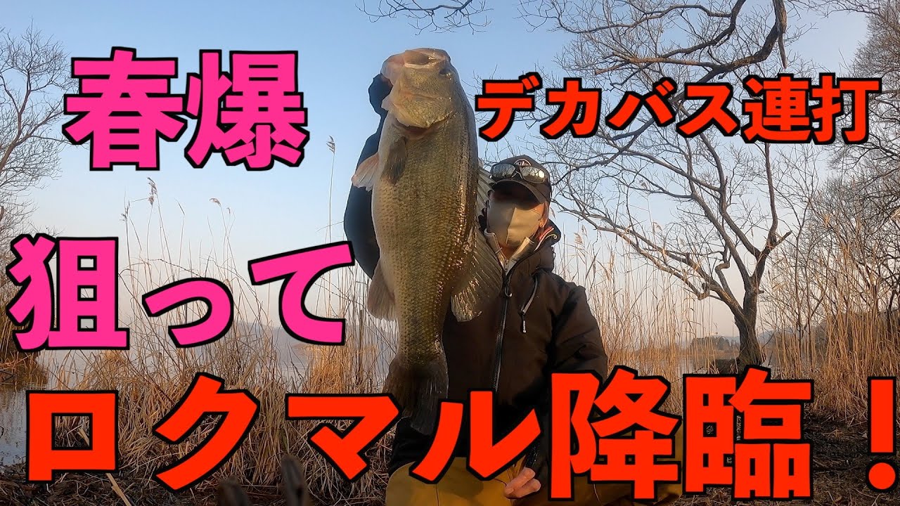 「神回！！」琵琶湖ロクマル降臨！！